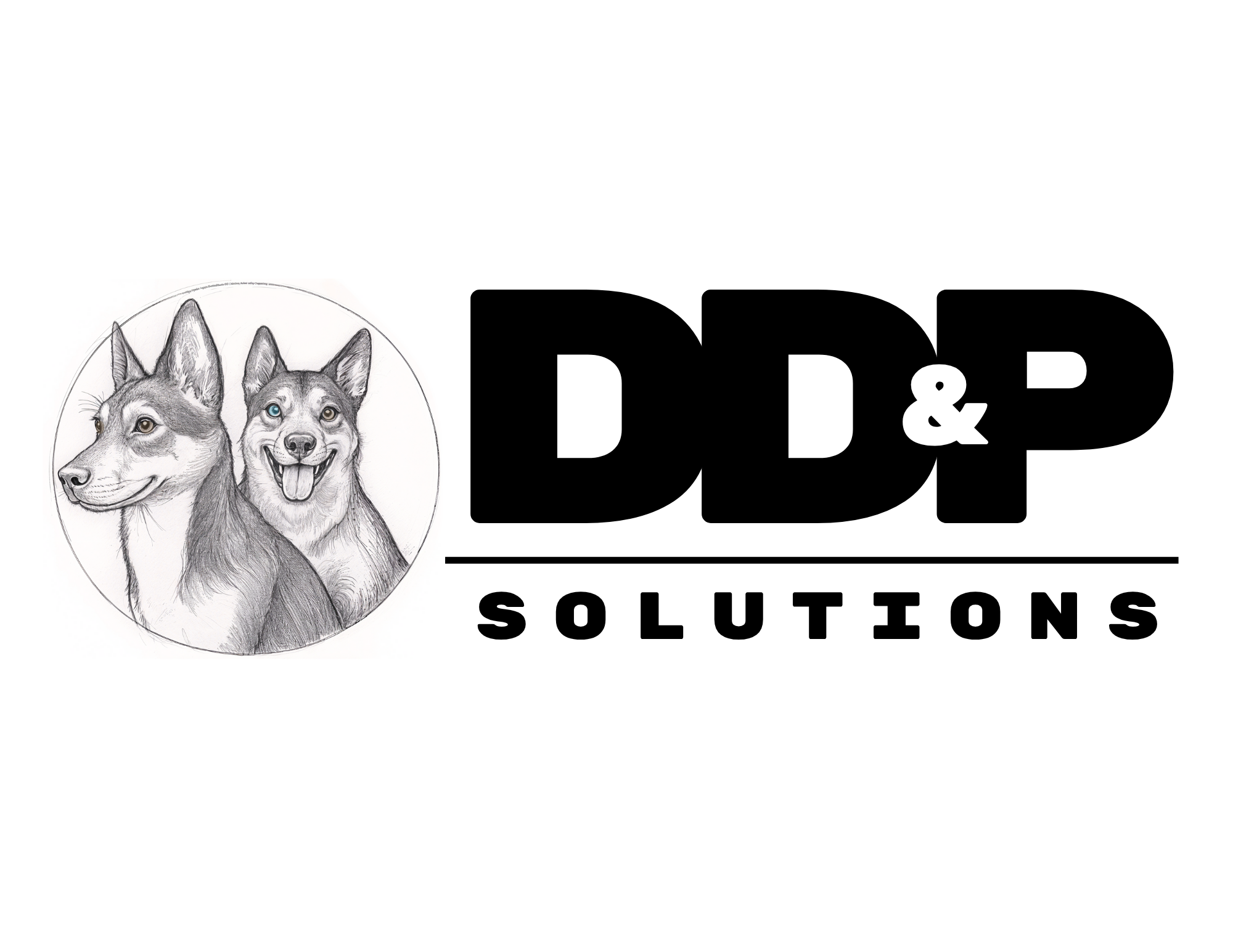 DD&P Solutions Transparent Logo